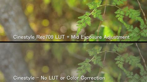 It means you should use the LUT in its Rec709 format in conjunction with appropriate log conversion LUT. . Cinestyle to rec709 lut